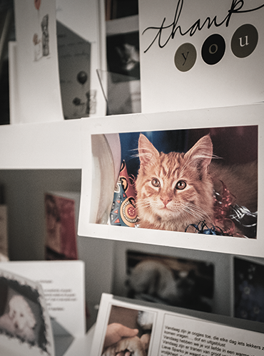 diensten - persoonlijk